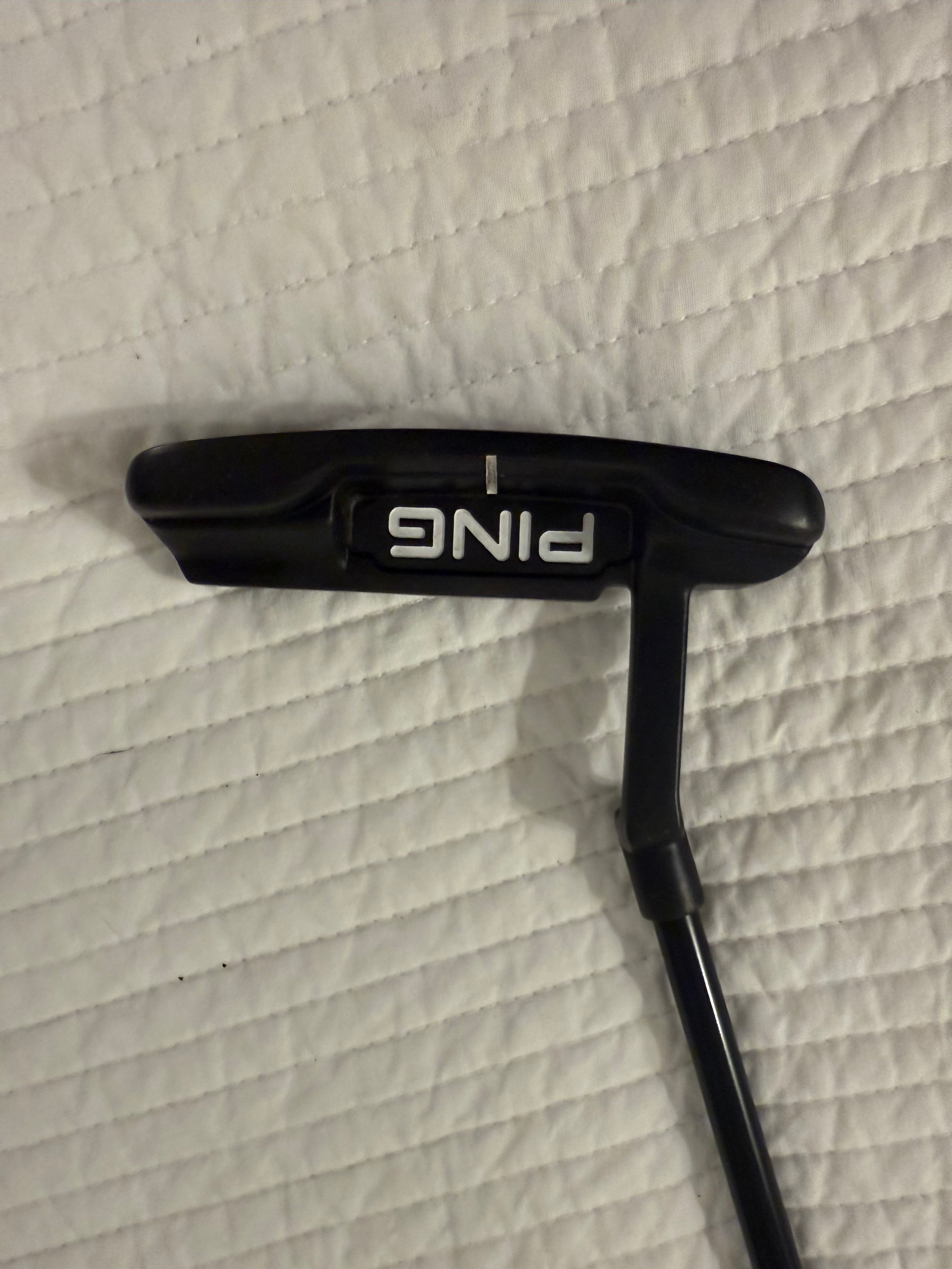 PING 2021 ANSER - image 1